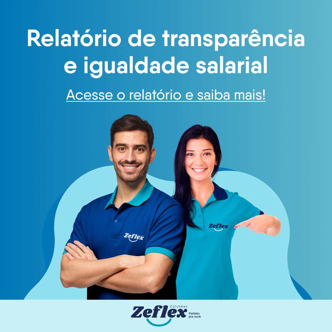 Linkedin - Relatório de Transparência e Igualdade Salarial - Zeflex Linkedin - Relatório de Transparência e Igualdade Salarial - Zeflex